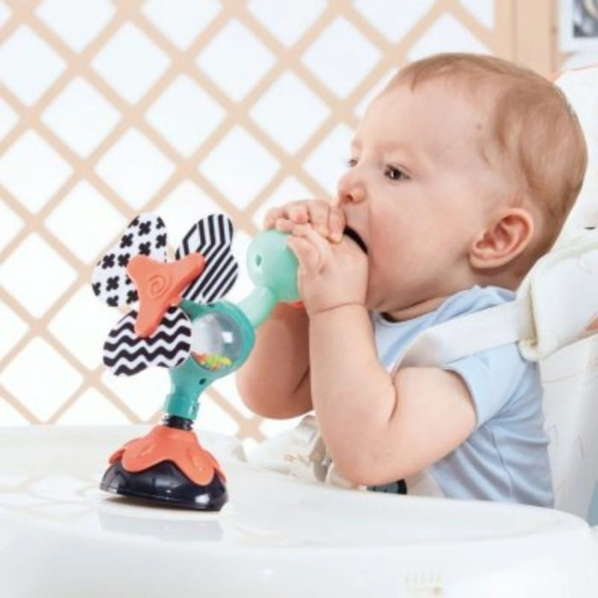 Hola Cute Peacock Highchair Toy