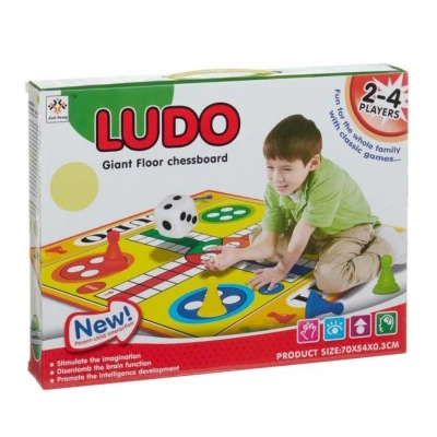 Giant Ludo Game