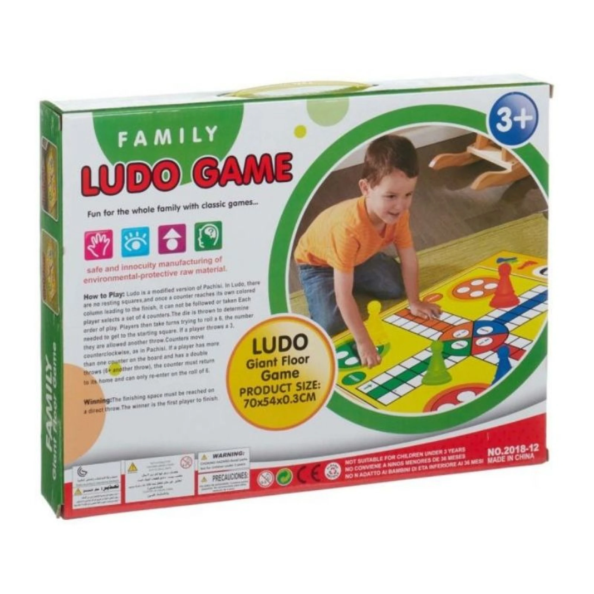 Giant Ludo Game