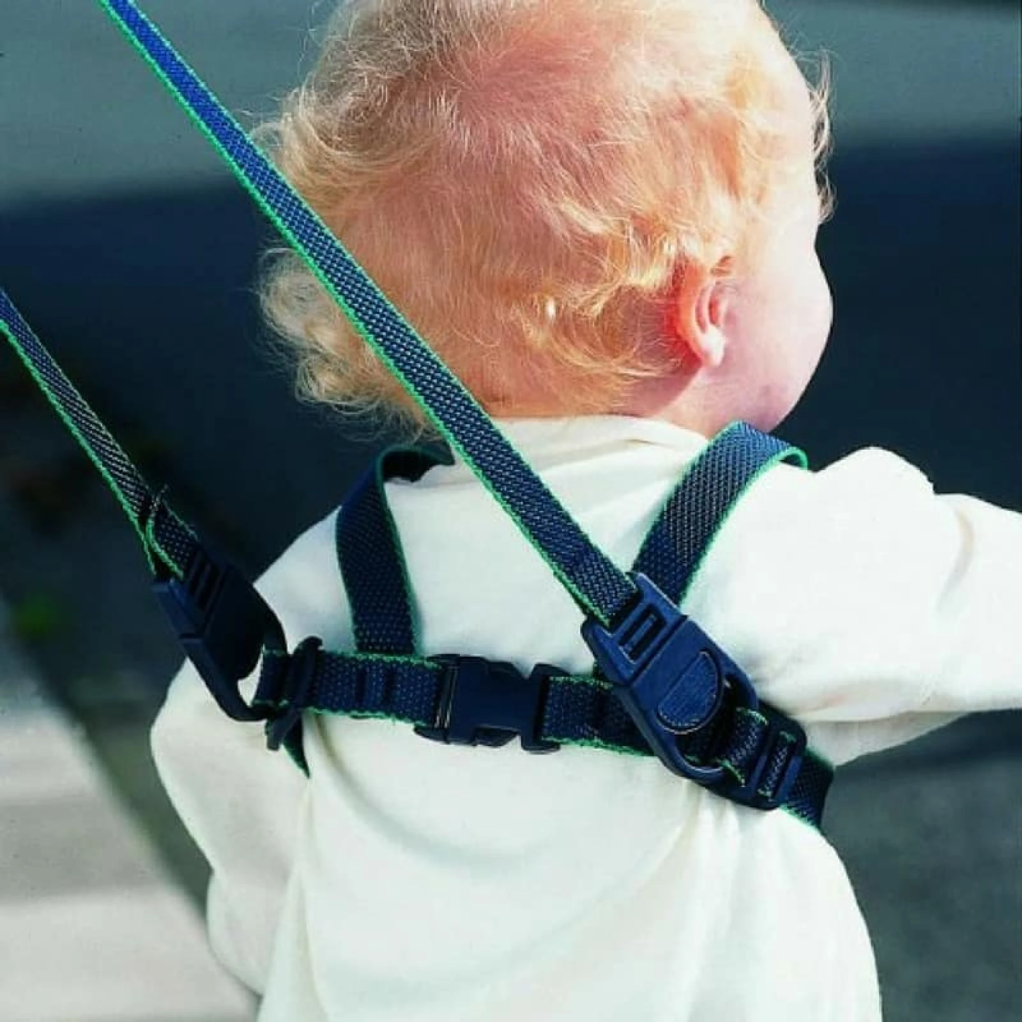 Premium Harness &amp; Reins (Black)