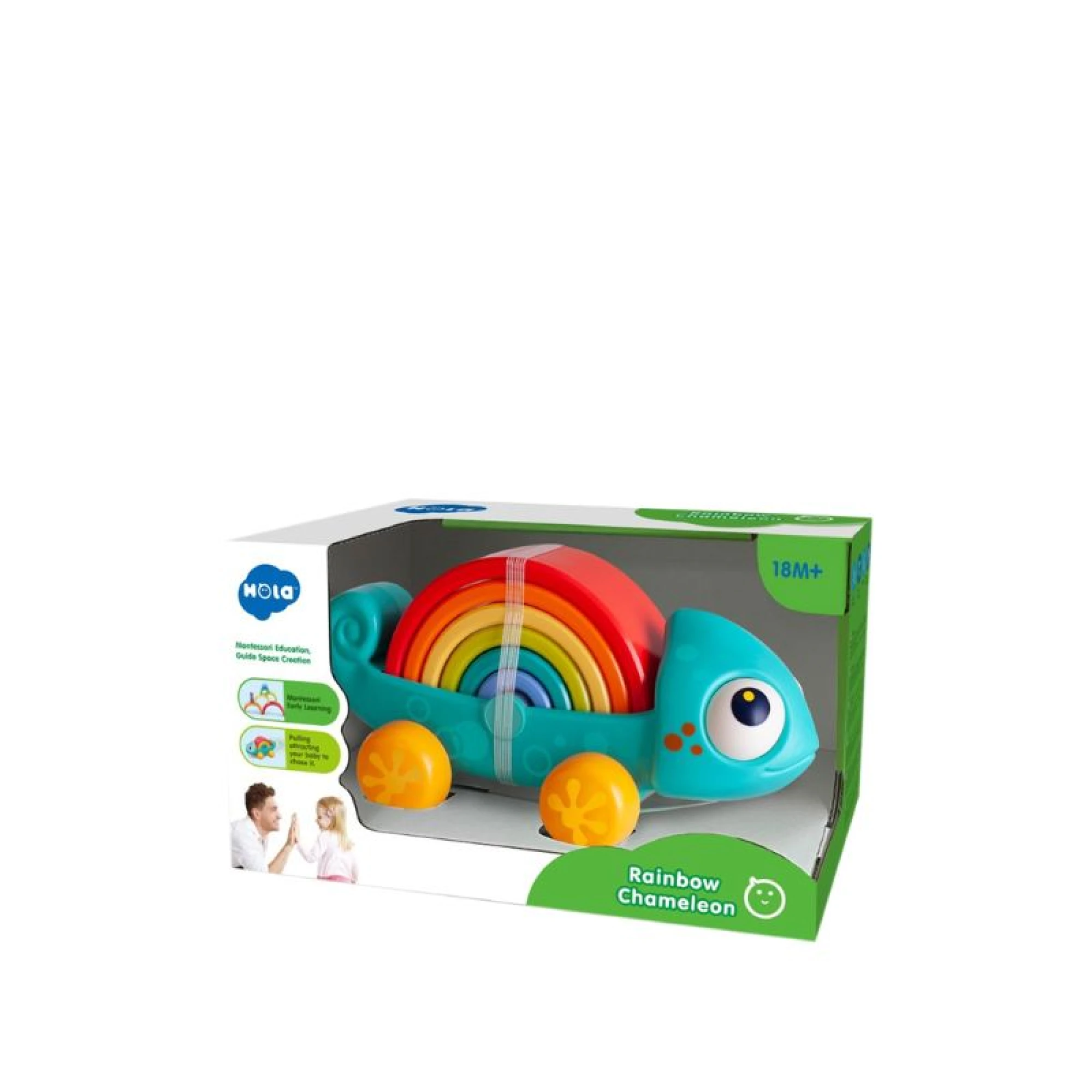 Hola Rainbow Chameleon