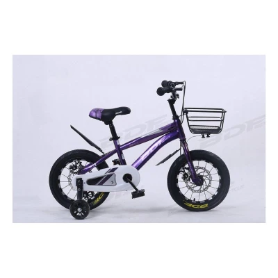 14'' BDF Bicycle Purple