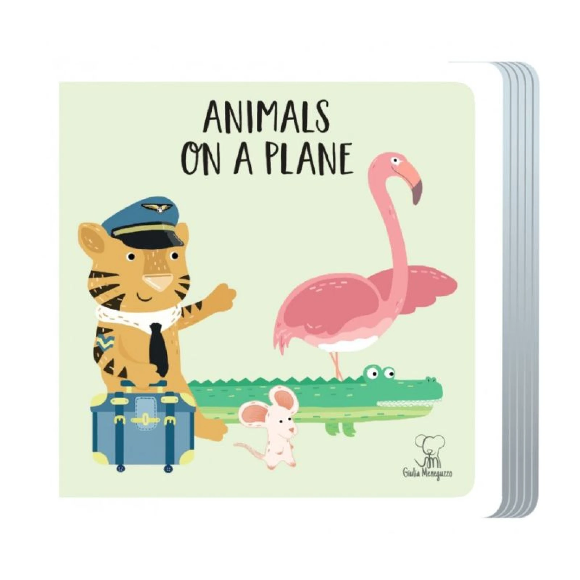 Travel Puzzle. Animals on a Plane