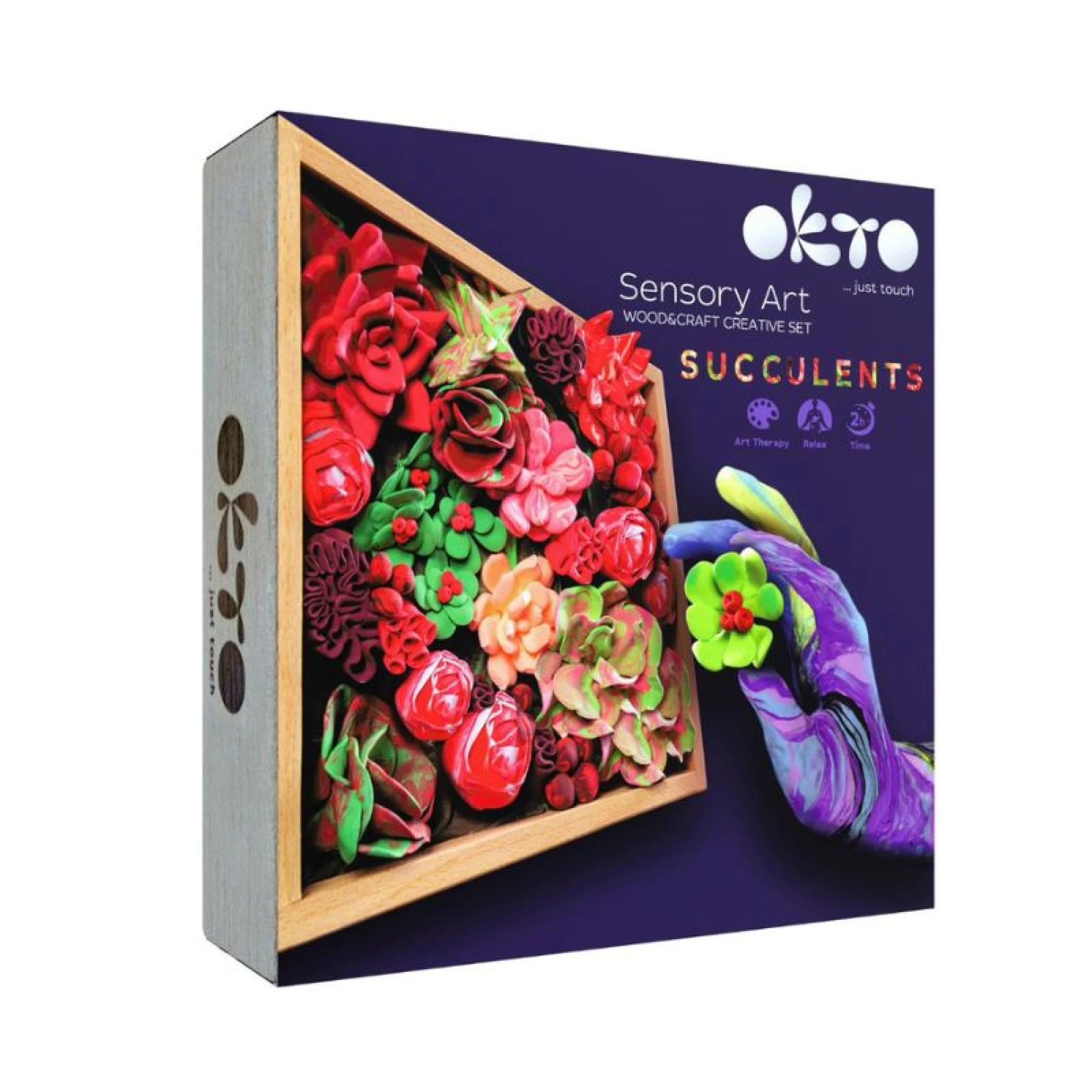 Wood&amp;Craft DIY Succulents TM OKTO 21*21 cm Passion