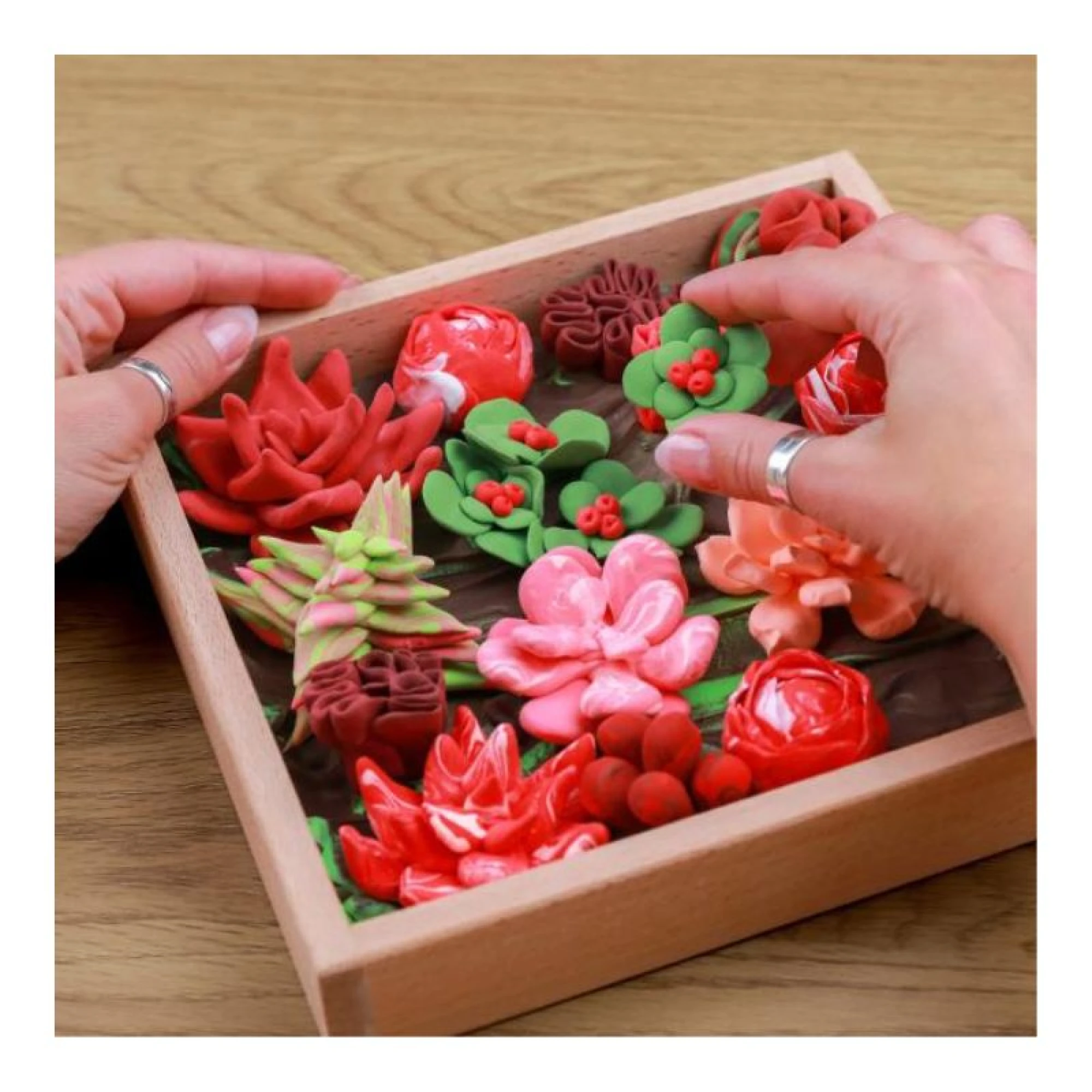 Wood&amp;Craft DIY Succulents TM OKTO 21*21 cm Passion