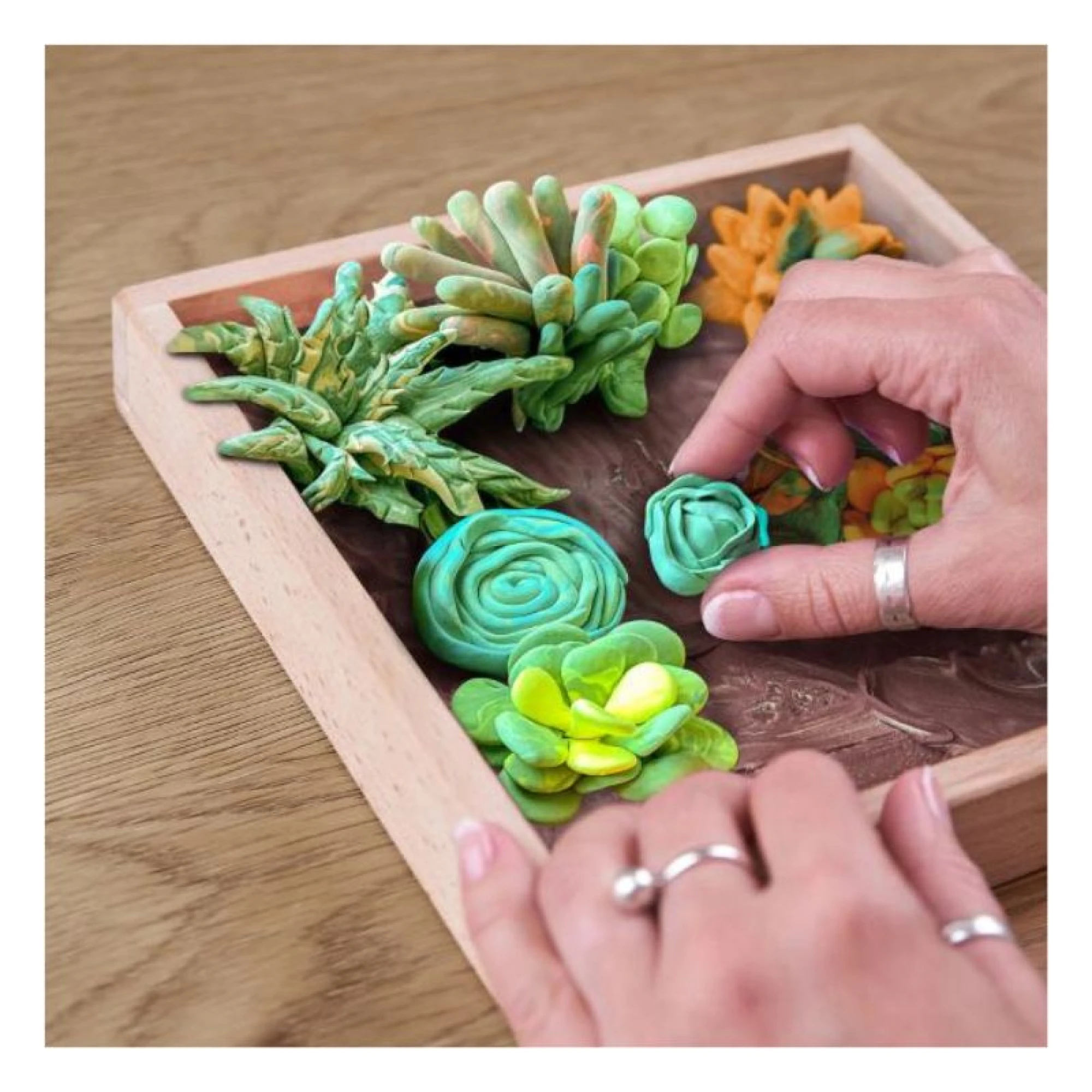 Wood&amp;Craft DIY Succulents TM OKTO 21*21 cm Energy