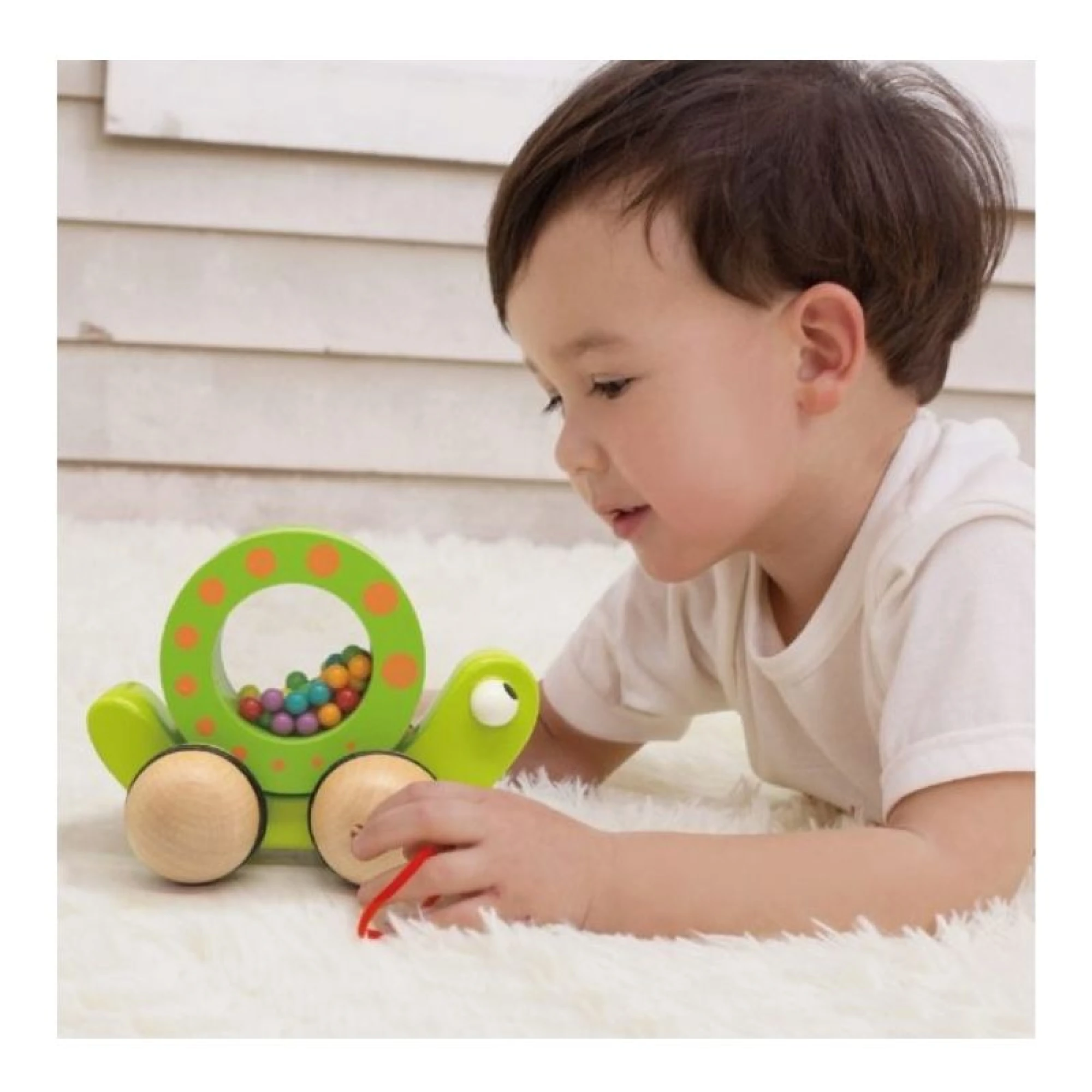 Rolling Snail