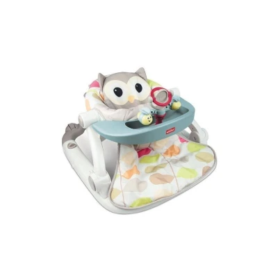 Sit-to-Walk Activity Center -Owl